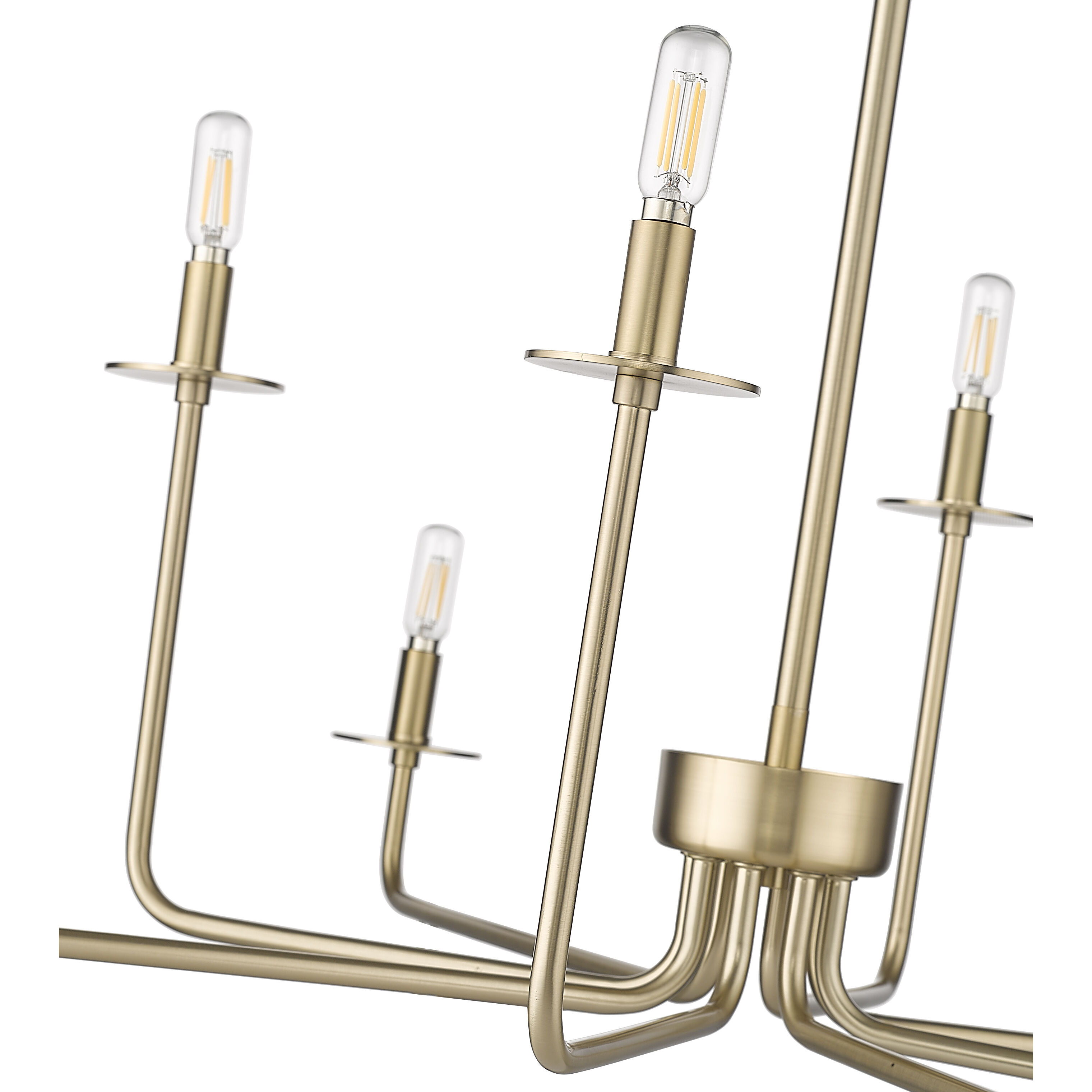 Marceline 8 Light 37.85 inch Modern Gold Chandelier Ceiling Light